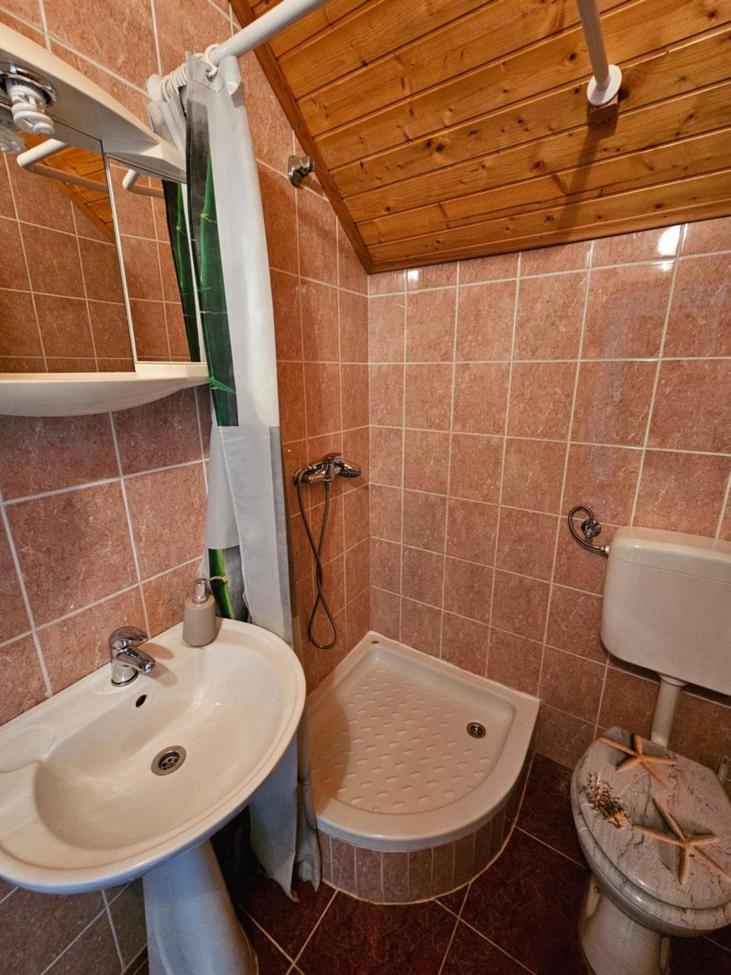 Apartman Mile - Holiday House สโมลยานัซ ห้อง รูปภาพ