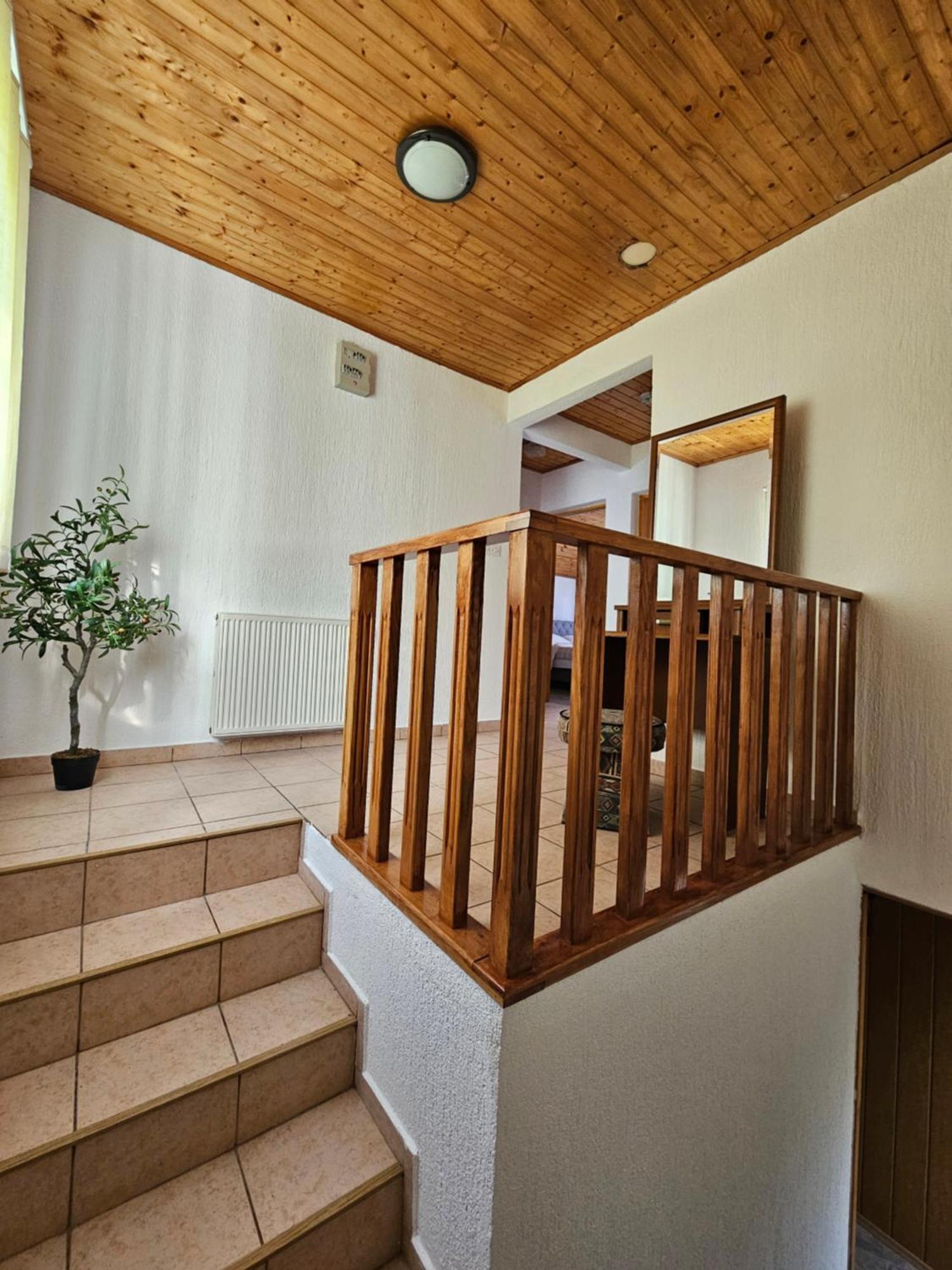 Apartman Mile - Holiday House สโมลยานัซ ภายนอก รูปภาพ